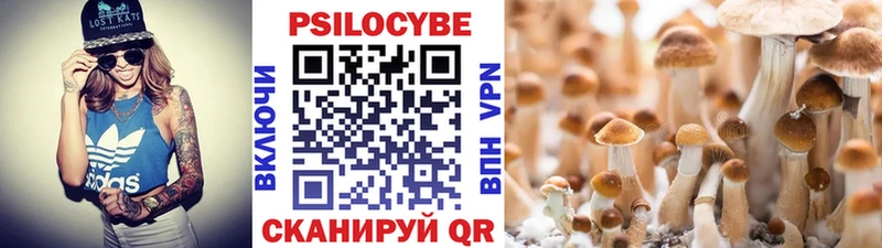 Галлюциногенные грибы ЛСД  Нижняя Салда 